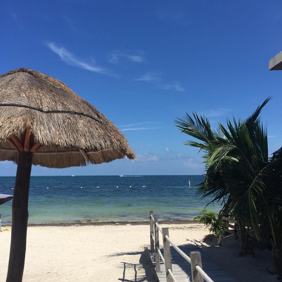The Mermaid Hostel Beach (Adults Only) แคนคูน ภายนอก รูปภาพ